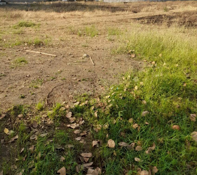  Agricultural Land 5 Acre for Sale in Pardi, Valsad