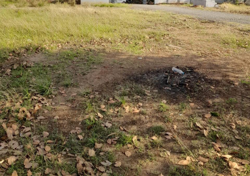  Agricultural Land 5 Acre for Sale in Pardi, Valsad