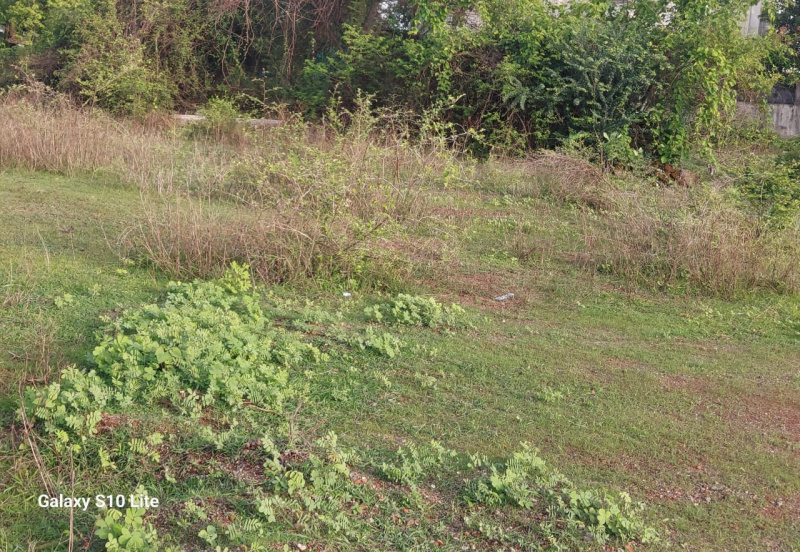  Residential Plot 60000 Sq.ft. for Sale in Bilimora, Navsari
