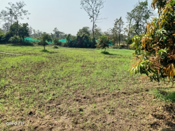  Agricultural Land for Sale in Dharampur, Valsad