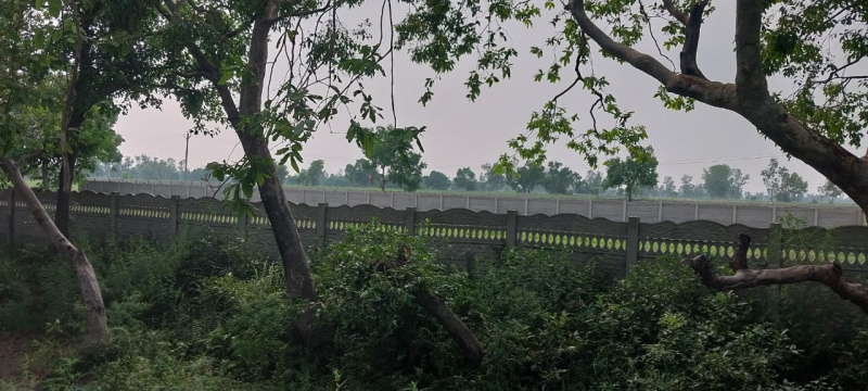  12 Acre Agricultural/Farm Land for Sale in Pardi, Valsad