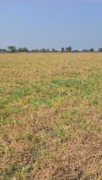  9 Acre Industrial Land for Sale in Pardi, Valsad