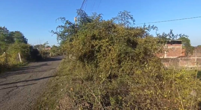  2 Acre Industrial Land for Sale in Balitha, Vapi