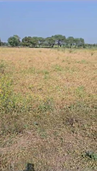  6 Acre Industrial Land for Sale in Umbergaon, Valsad