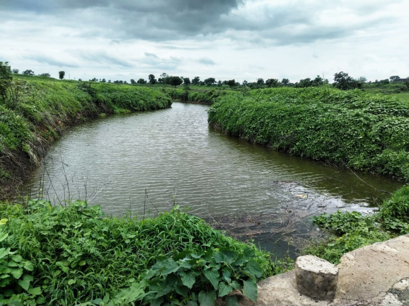  100 Acre Agricultural/Farm Land for Sale in Dahanu, Palghar