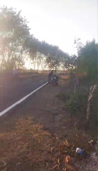  10 Acre Agricultural/Farm Land for Sale in Dahanu, Palghar