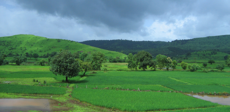 10 Acre Agricultural/Farm Land for Sale in Dahanu, Palghar
