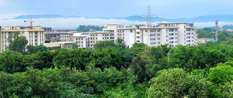  18 Acre Agricultural/Farm Land for Sale in Dahanu, Palghar