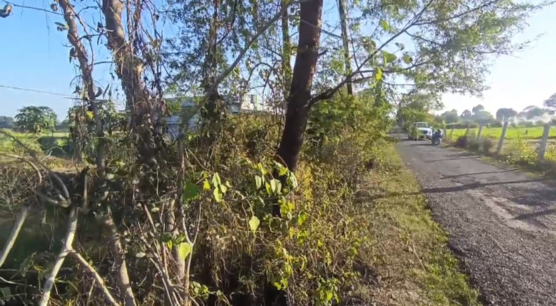  18 Acre Agricultural/Farm Land for Sale in Dahanu, Palghar