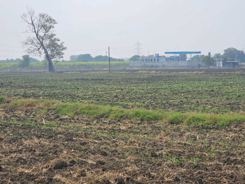  19 Acre Agricultural/Farm Land for Sale in Dahanu, Palghar