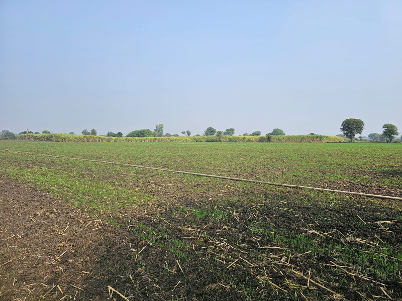  49 Acre Agricultural/Farm Land for Sale in Dahanu, Palghar