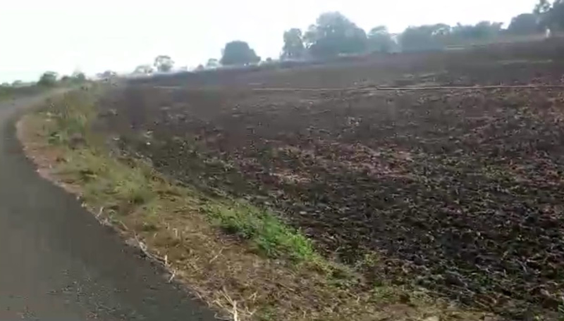  40 Acre Agricultural/Farm Land for Sale in Dahanu, Palghar