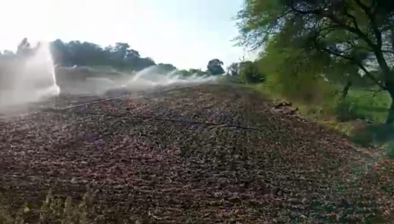  108 Acre Agricultural/Farm Land for Sale in Dahanu, Palghar