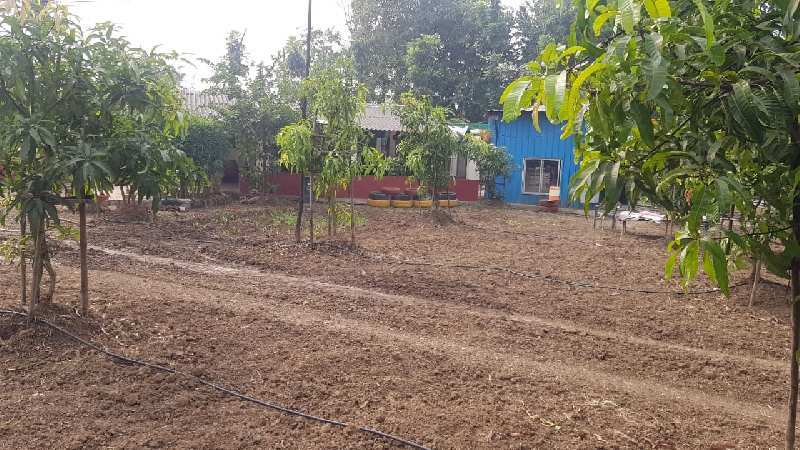 1 BHK Farm House 4 Acre for Sale in Kaprada, Valsad