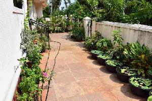 2 BHK House for Sale in Assagaon, North Goa, 