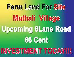  Agricultural Land for Sale in Sipcot Phase II, Hosur