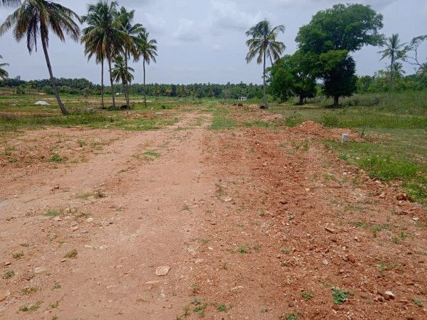  Residential Plot 1500 Sq.ft. for Sale in HD Kote Road, Mysore