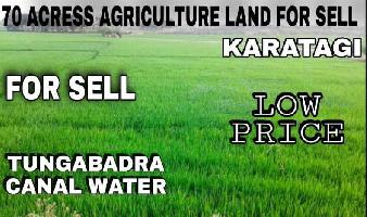  Agricultural Land for Sale in Gangawati, Koppal