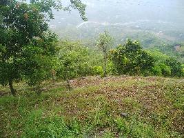 Agricultural Land for Rent in Banjar, Kullu