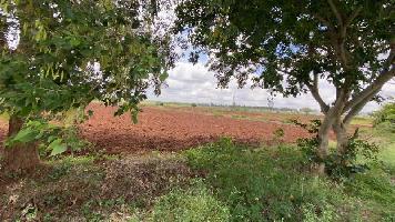  Agricultural Land for Sale in Doddaballapur, Bangalore
