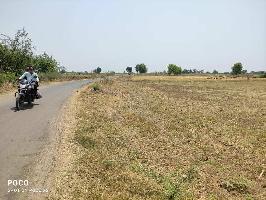  Agricultural Land for Sale in Shrirampur  Rural, Ahmednagar