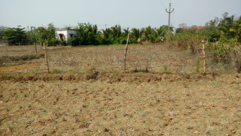  Agricultural Land for Sale in Nalanga, Bhadrak