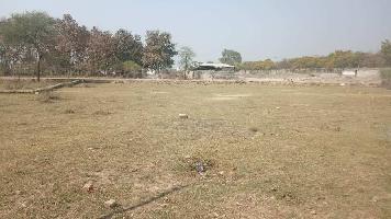 Residential Plot for Sale in Shukla Bardadih, Raghuraj Nagar, Satna