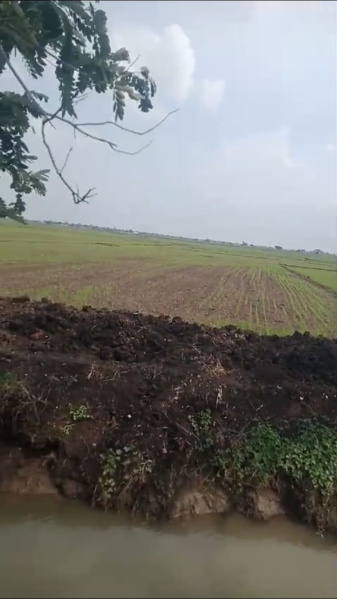  Agricultural Land 3 Acre for Sale in Ponnur, Guntur