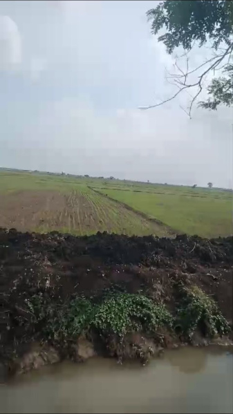  Agricultural Land 3 Acre for Sale in Ponnur, Guntur