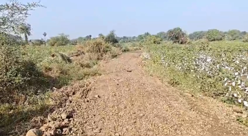  Agricultural Land 5 Acre for Sale in Mominpet Mandal, Vikarabad