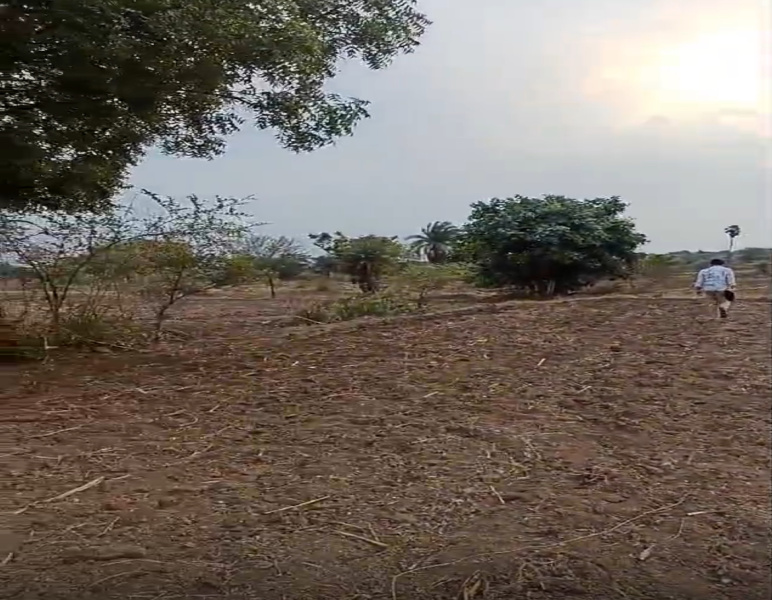  Agricultural Land 5 Acre for Sale in Mominpet Mandal, Vikarabad