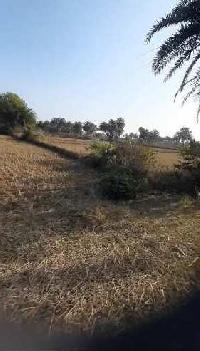  Agricultural Land for Sale in Lal Bazar, Bankura