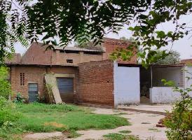  Warehouse for Rent in Pinto Park, Gwalior