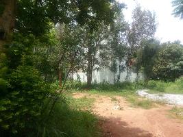  Residential Plot for Sale in Bellahalli, Bangalore
