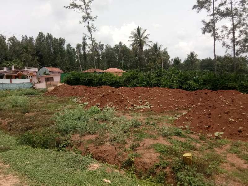 Agricultural Land 2800 Sq.ft. for Rent in Mallandur Road, Chikmagalur
