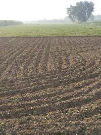  Agricultural Land for Sale in Hapur Bypass, Ghaziabad