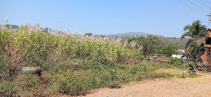 Agricultural Land 22000 Sq.ft. for Sale in