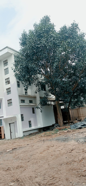 8 BHK 4000 Sq.ft. Apartment for Rent in Sus, Pune