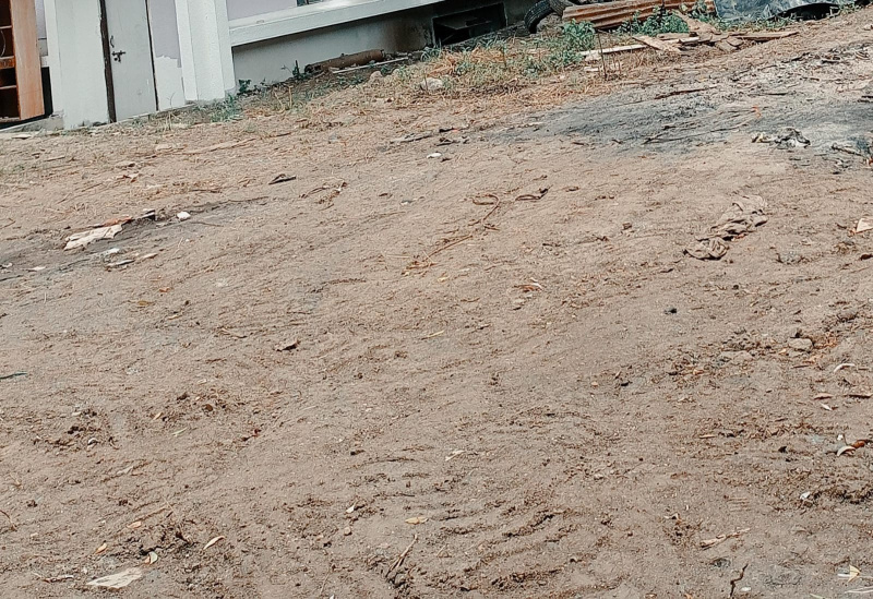 4.5 BHK 20000 Sq.ft. Farm House for Sale in Baner, Pune