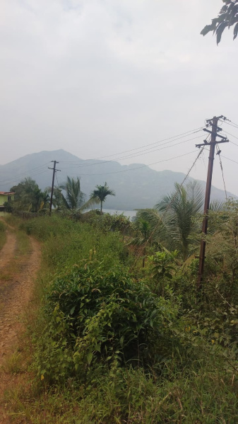  110 Ares Residential Plot for Sale in Mulshi, Pune