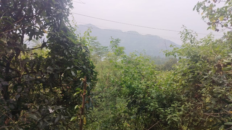  25 Acre Residential Plot for Sale in Mulshi, Pune