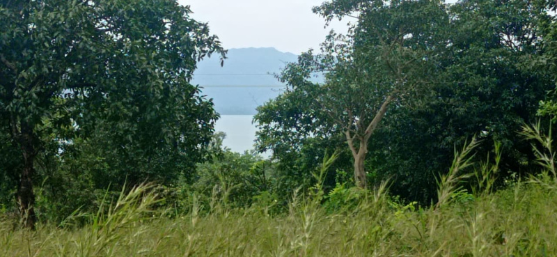  40000 Sq.ft. Residential Plot for Sale in Mulshi, Pune