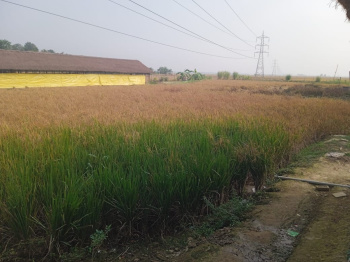  Residential Plot for Sale in NH 37, Guwahati