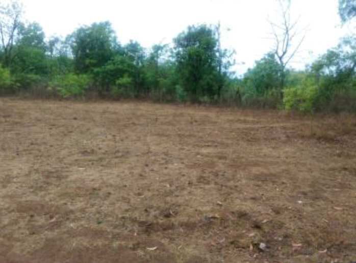  Commercial Land 64 Guntha for Sale in Rajapur, Ratnagiri
