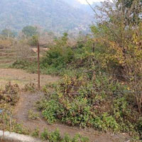  Agricultural Land for Sale in Dunera, Pathankot
