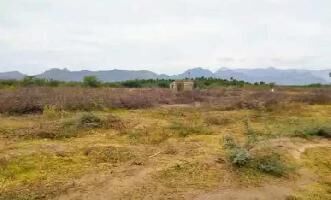  Agricultural Land for Sale in Srivilliputhur, Virudhunagar
