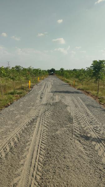  Residential Plot 11 Cent for Sale in Podili, Prakasam