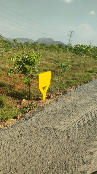  Residential Plot 11 Cent for Sale in Podili, Prakasam