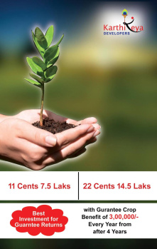  Residential Plot for Sale in Labbipeta, Vijayawada