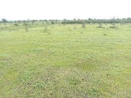 Agricultural Land for Sale in Purandar, Pune